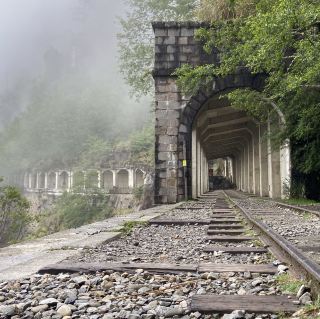 🚶‍♂️阿里山眠月線健行｜沼平車站 ⇄ 石猴車站