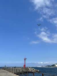 다채로운 매력의 바다, 여름엔 역시 제주! 🌊🏝️