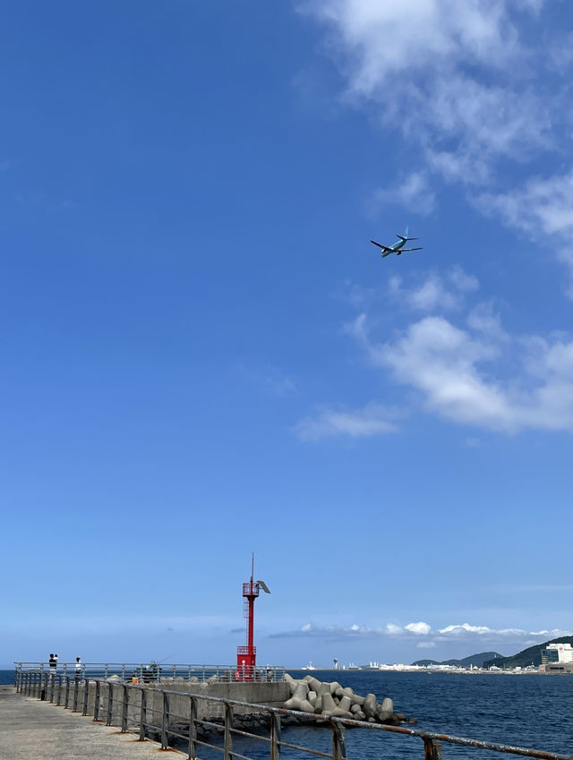 다채로운 매력의 바다, 여름엔 역시 제주! 🌊🏝️