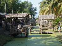 Chiang Mai Coconut Market: Where Summer Tastes Like Ice-Cold Happiness