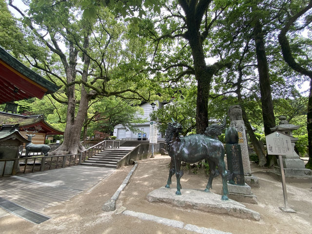 韓国人家族と行く福岡旅行✈️