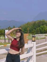 ISBJORN Chiang Dao คาเฟ่ที่สายถ่ายรูปห้ามพลาด