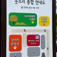 제주에서 베이커리 카페와 영화관, 테니스장, 강아지운동장 등이 모두 즐길 수 있는 곳!