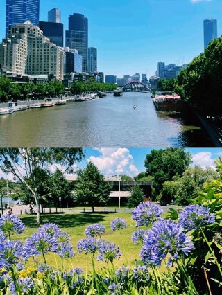 Hidden Gems of Melbourne: A Stroll Through Albert Park and Alexandra Gardens