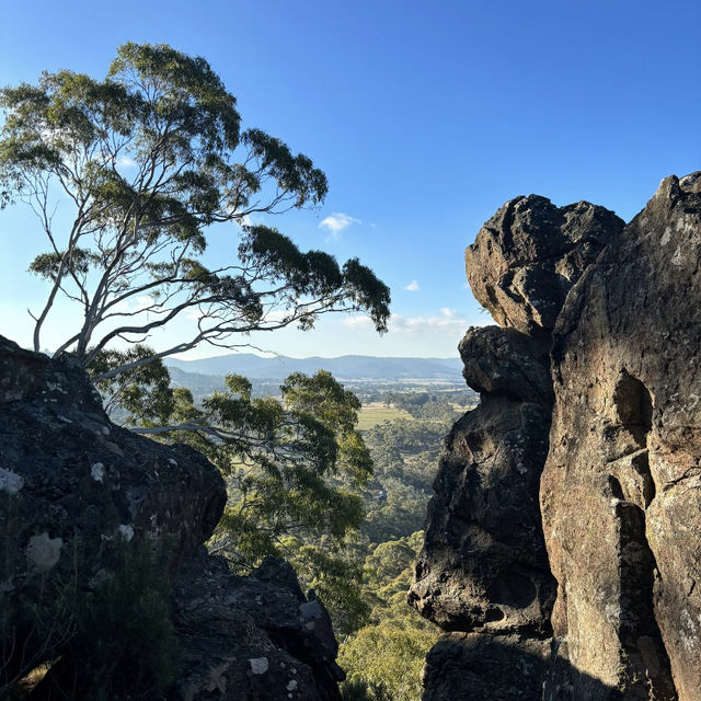☀️ Summer Vibes at Mount Macedon 🌿