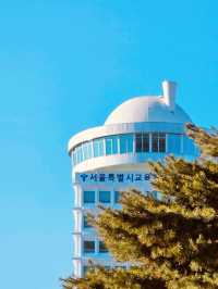 N Seoul Tower: An Iconic Seoul Experience