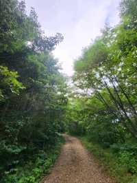Achigari Valley, Nature’s Chill Spot Tucked in Gangwon-Do