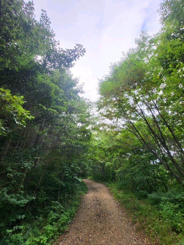 Achigari Valley, Nature’s Chill Spot Tucked in Gangwon-Do