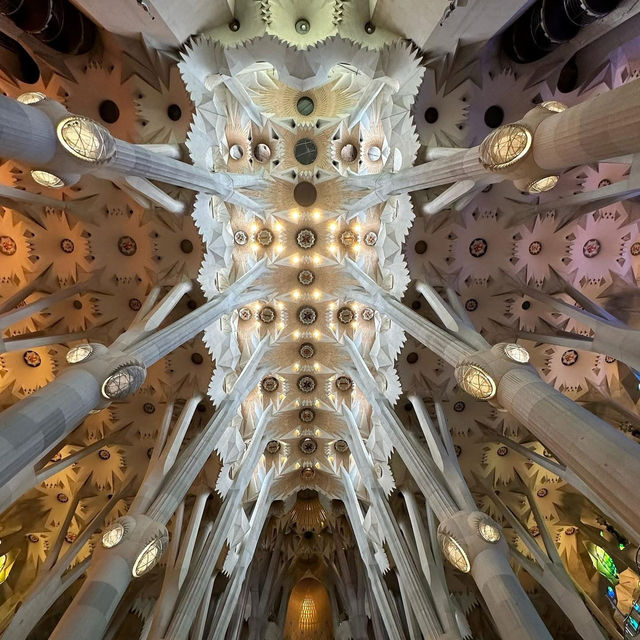 🌀 “Stone That Breathes: A Morning at Sagrada Família”