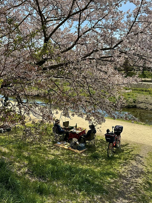 โอซาก้า🇯🇵