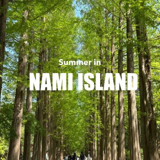 Nami Island One-Day Trip Guide • Spring Forest Walk Plan 🌿🚶‍♂️