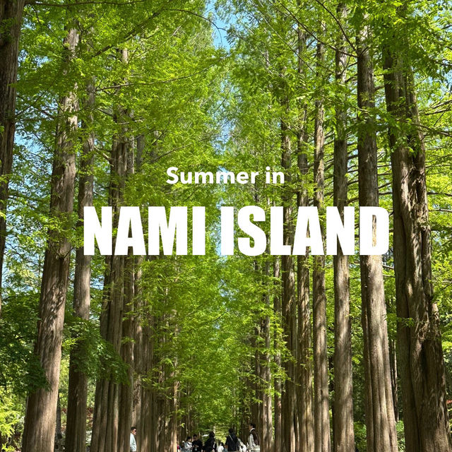 Nami Island One-Day Trip Guide • Spring Forest Walk Plan 🌿🚶‍♂️