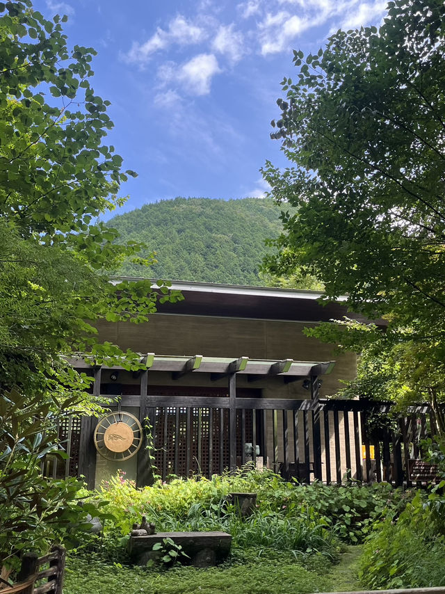 【関市 せきや】刃物のまちで見つけた、心をほどく小さなオアシス🌿🍵
