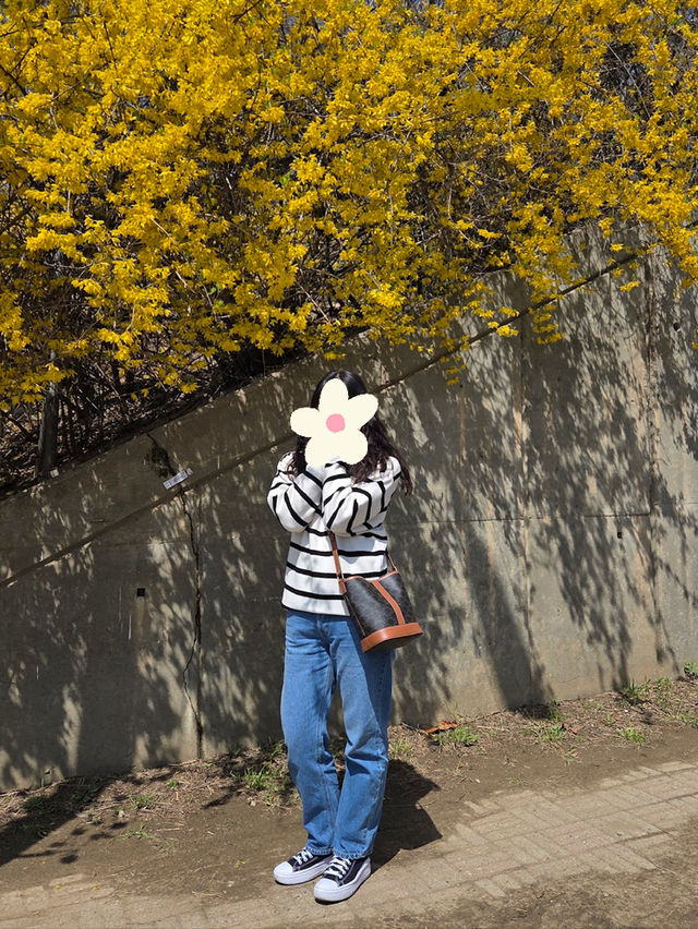 🌸벚꽃 따라 걷는 봄의 하루, 올림픽공원 송파둘레길과 성내천