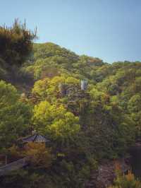이국적인 풍경을 볼 수 있는“수생식물학습원”
