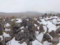 3月日本自由行 景点篇 鬼押出火山岩石公園