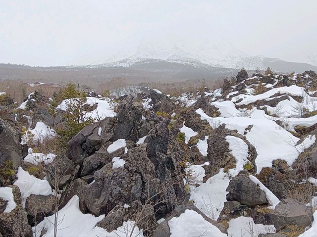 3月日本自由行 景点篇 鬼押出火山岩石公園