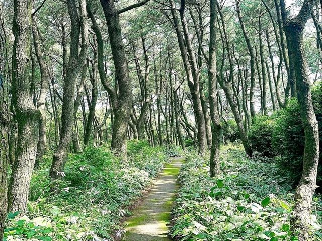 Bongrae Mountain. Short Hike, Big Vibes