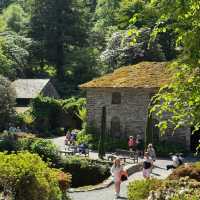 Bodnant Garden | A Secret Garden with a 4.8-Star Google Rating! 🌸🌳
