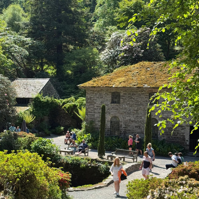 Bodnant Garden | A Secret Garden with a 4.8-Star Google Rating! 🌸🌳