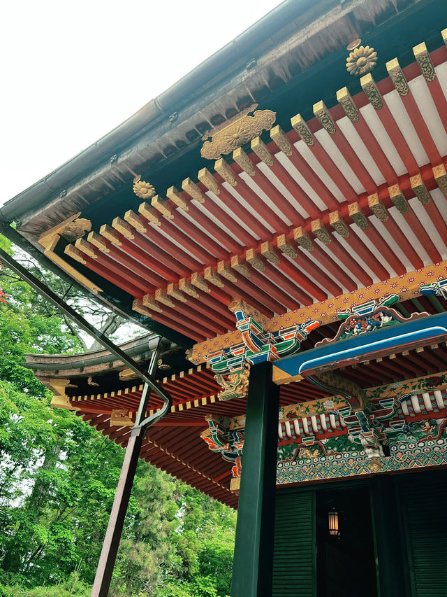 仙台　国宝・大崎八幡宮へ行くべき五つの理由🇯🇵✈️🌎 
