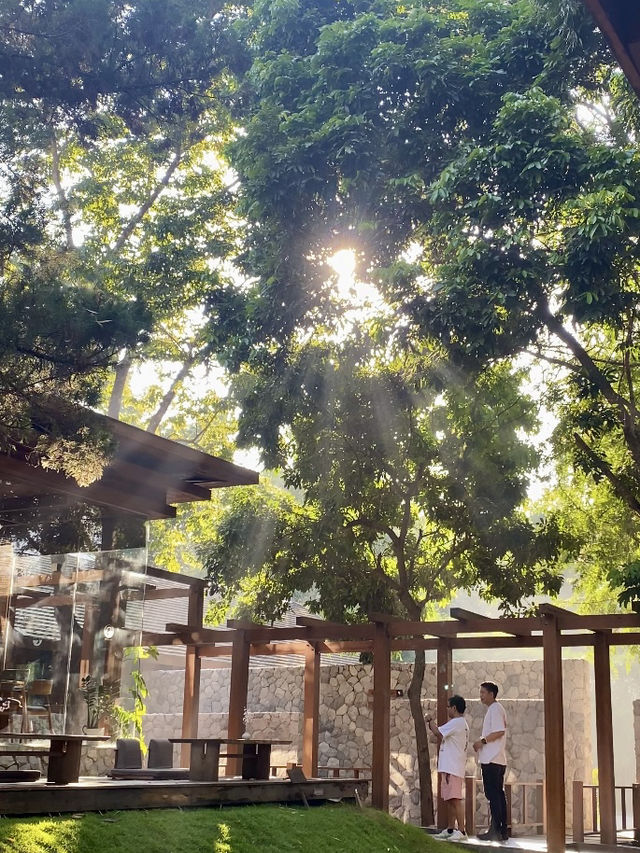 Café-Hopping in Chiang Mai? Don’t Skip The Baristro Asian Style