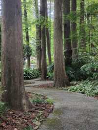 Fuxing Park – A Century‑Old French Garden in Shanghai’s Heart