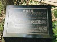橫濱🇯🇵彼我庭園