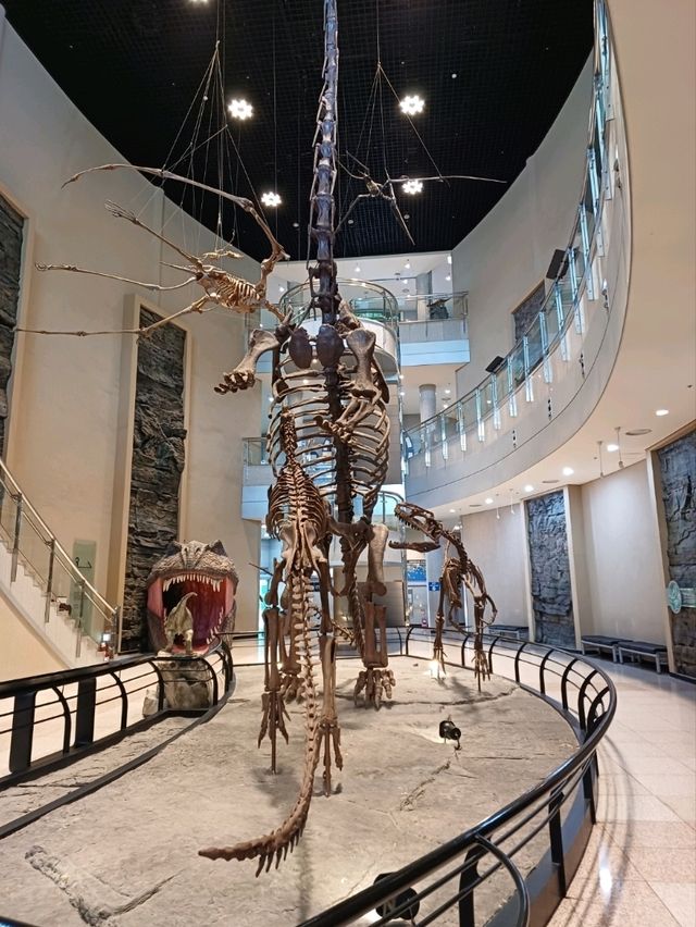 실내 탐험이 즐거운 고성공룡박물관🦖