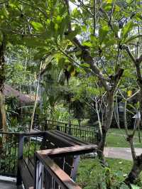 A Hidden Gem in Kanchanaburi