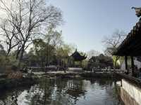蘇州｜漫步「拙政園」