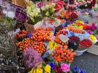 Dolac Market Zagreb
