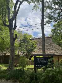 【岡山】藁葺き屋根の中で食べるランチ