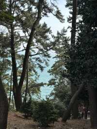 【釜山】 松島🏝️今注目を集めている松島の観光スポット
