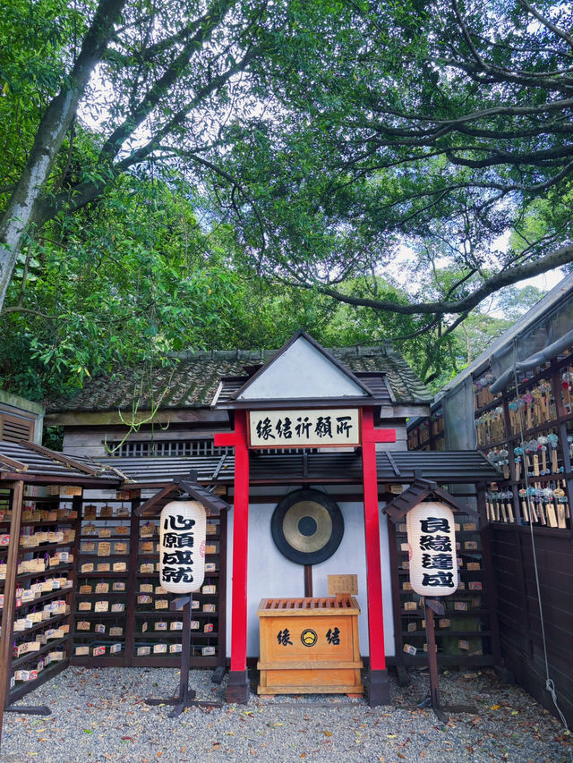 ⛩️被遺忘的昭和時光｜桃園神社，一場靜謐與歷史的對話