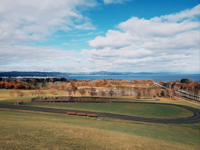 Autumn in Hokkaido: Onsen Nights & Legendary Burgers
