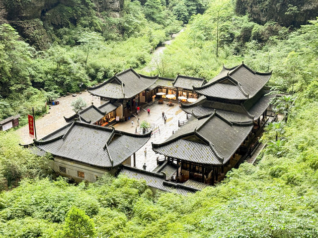 เที่ยว ฉงชิ่ง อุทยานหลุมฟ้า - สะพานสวรรค์ 🇨🇳