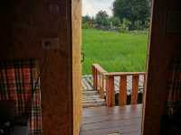 🌾 นอนฟิน กินหมูกระทะ กลางทุ่งนาเขียว 🍃