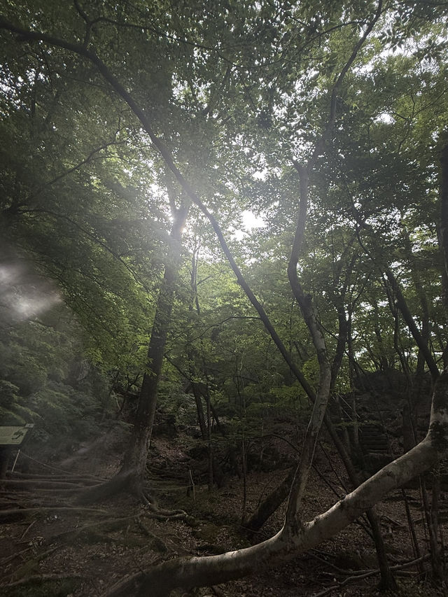 【日光で大自然を満喫する】龍王峡🐲虹見滝🌈虹見橋🌉
