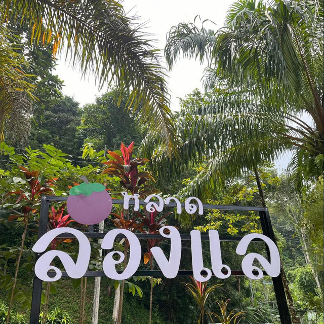 “หลาด ลองแล