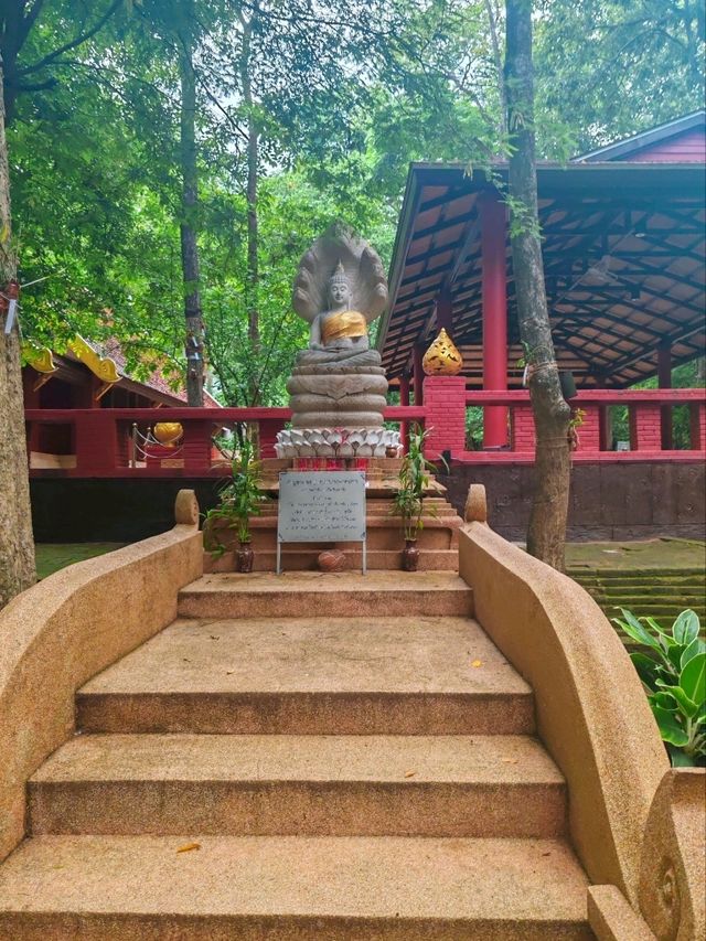 พาไปวัดอุโมงค์ จังหวัดเชียงใหม่
