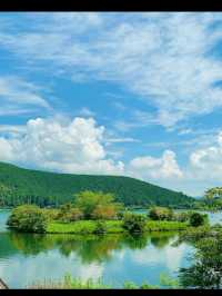 【富士山で心震える絶景旅】日本一の山で自然と歴史に触れる🌄🗻
