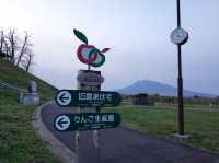 🍎 Apple Wonderland in Hirosaki – A Family Delight!
