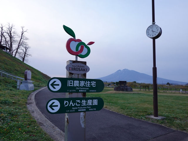 🍎 Apple Wonderland in Hirosaki – A Family Delight!
