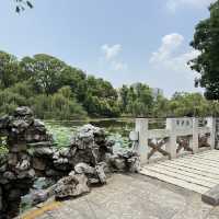 Kunming in 4 Days: Streets to Stone Peak