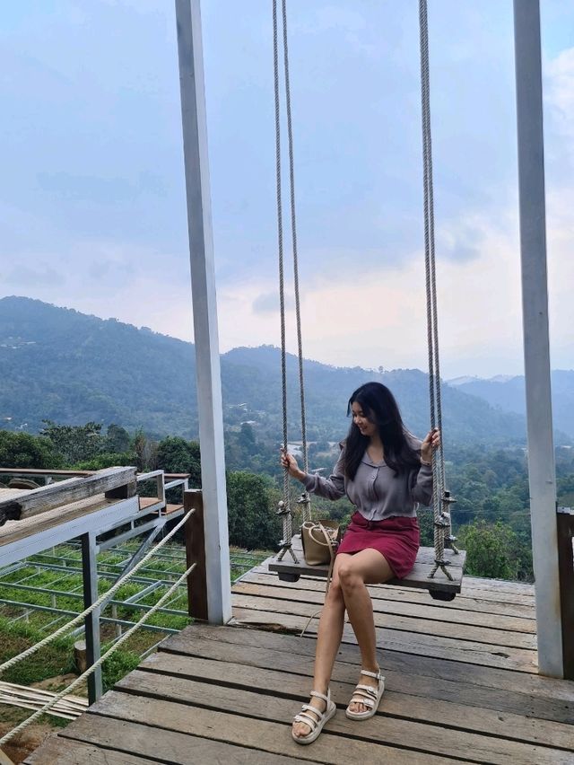 YAYO Farm  คาเฟ่บรรยากาศดีบนดอยช้าง