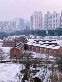 Dilkusha Red brick