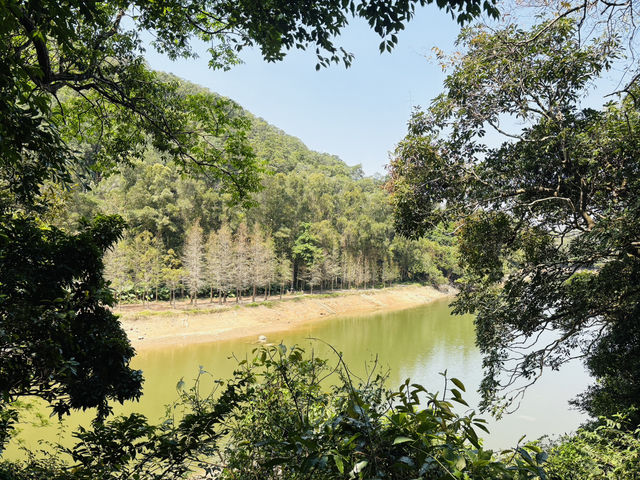 香港行山徑流水響