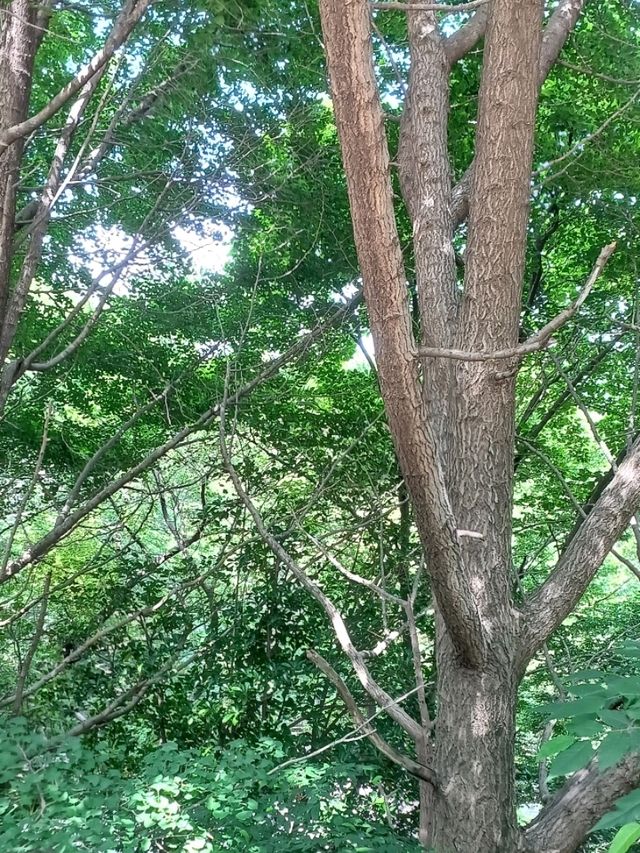 사색에 빠지기 딱
