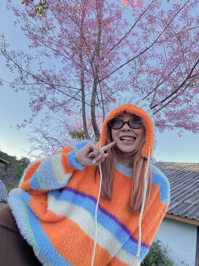 สันป่าเกี๊ยะน่ารักมาก 🌺